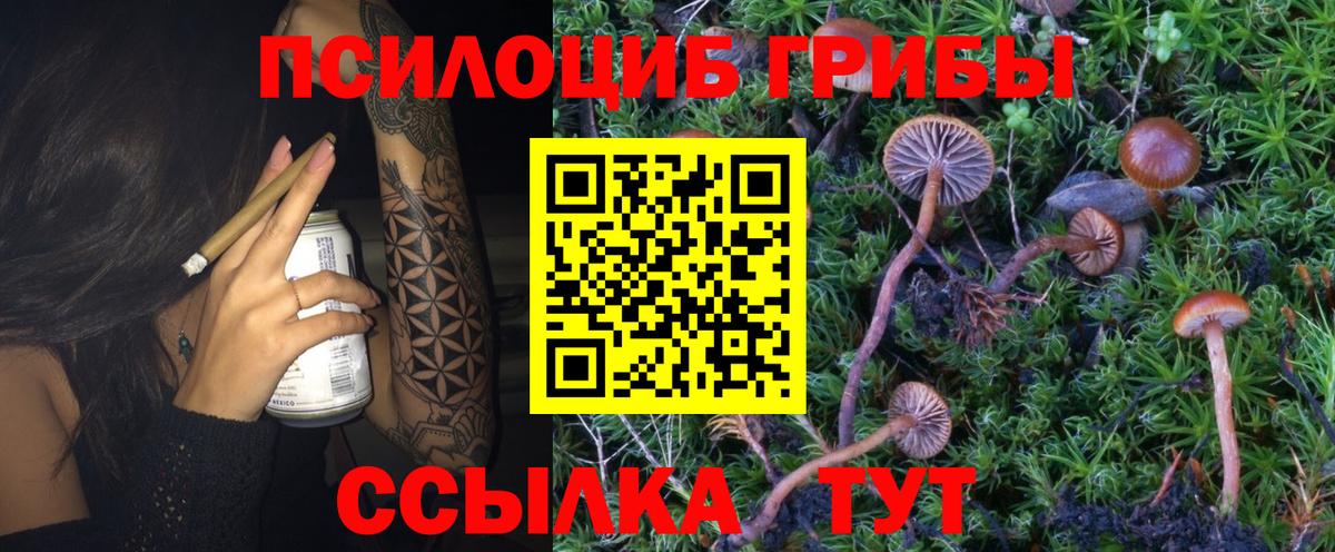Псилоцибиновые грибы Magic Shrooms Новодвинск